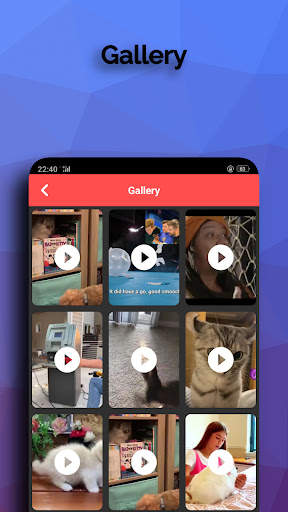 face video story Download screenshot 13