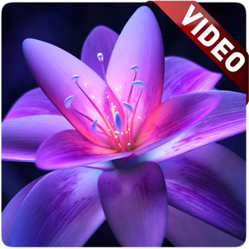 Flower Video Wallpaper 2.0