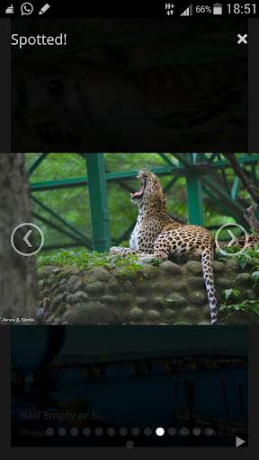 Openshutter-Photography &photo screenshot 6