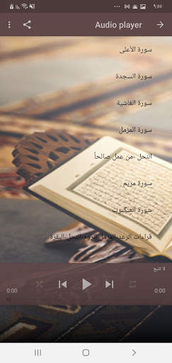 عبد الرحمن مسعد - القرآن الكريم بدون نت 1 تصوير الشاشة