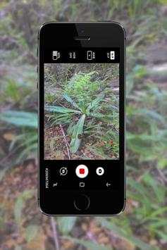 Camera screenshot 6
