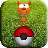 Catching Pokemon! 1.0