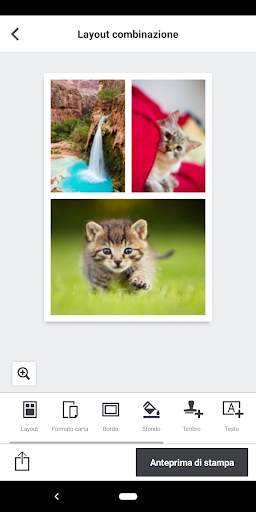 SELPHY Photo Layout screenshot 2