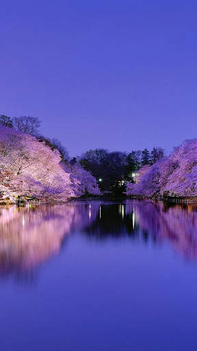 Beautiful Spring Wallpaper screenshot 9