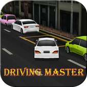 Driving Master logo
