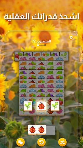 Zen Match 1 تصوير الشاشة
