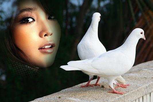 Cool Amazing Dove Photo Frames screenshot 4