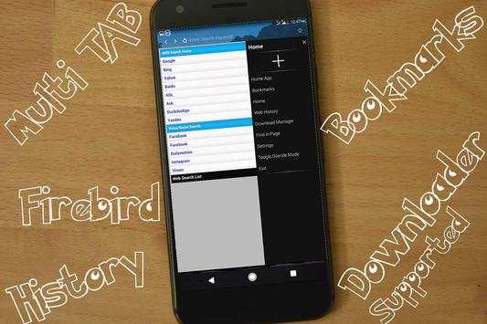 FireBird Web Browser screenshot 1