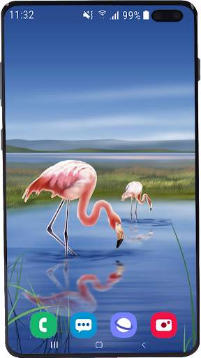 Flamingo Wallpaper HD screenshot 2