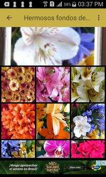 Fondos de flores screenshot 1