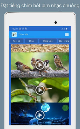 Tiếng Chim Hót screenshot 5