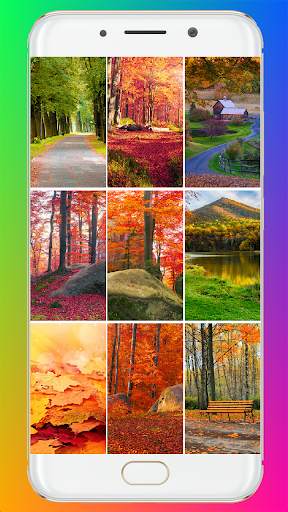 Autumn Wallpaper HD screenshot 1