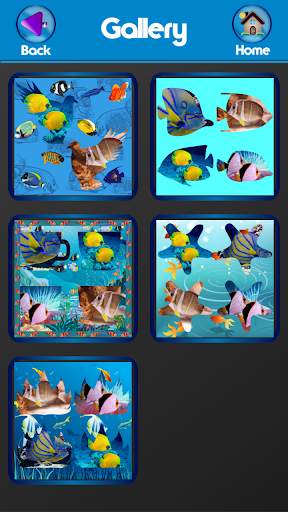 Fish Photo Collage Maker screenshot 8