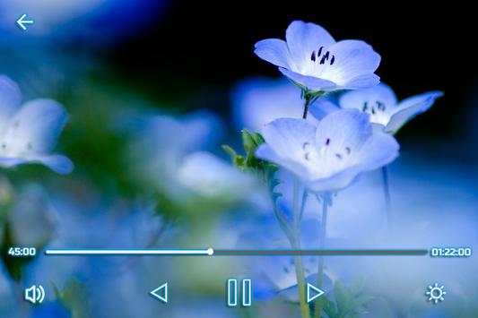 Max Video Player screenshot 2