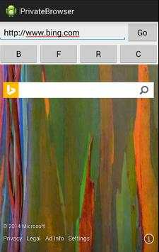 Private Browser screenshot 2