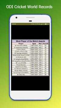 World Record Cricket screenshot 5
