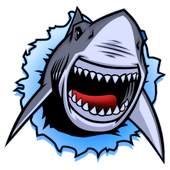 Finger in the shark 1.1