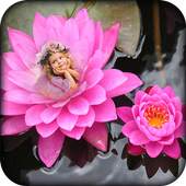 Lotus Photo Frames 1.0