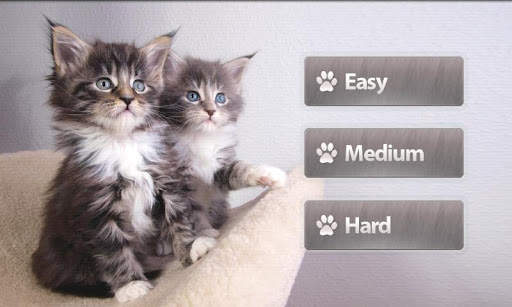 Cats Memory Game Free screenshot 3