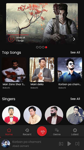 Zeymol - Balochi and Brahui music  زیمل screenshot 3