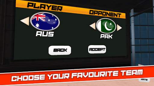 Cricket Superstar screenshot 4