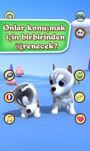 Talking Husky screenshot 3