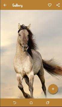 Horse Wallpapers screenshot 6