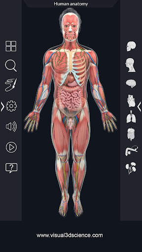 Human Anatomy screenshot 3