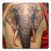 Tattoos Photos 2.2