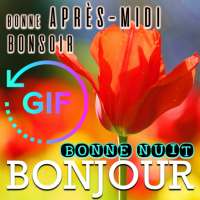 French Good Morning Night Gif on 9Apps