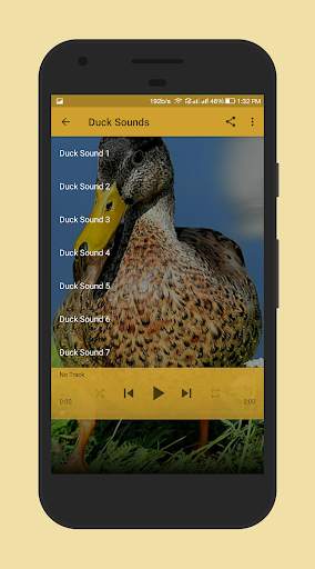 Duck Sounds screenshot 2