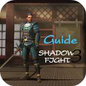 Shadow Fight 3 1.0