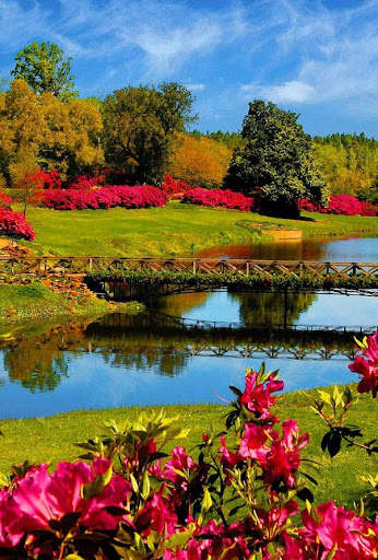 Spring Wallpaper screenshot 2