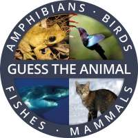 Guess the Animal Quiz App: Guessing Games for Free icon