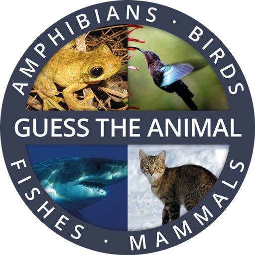 Guess the Animal Quiz App: Guessing Games for Free 1.0.94