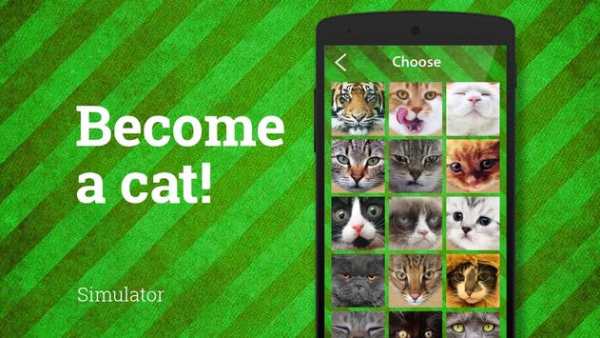 Cat Face Photo screenshot 2
