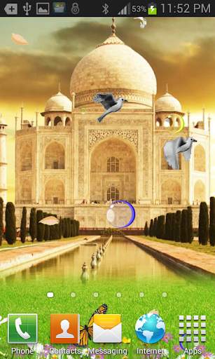 Taj Mahal Birds Live Wallpaper screenshot 2