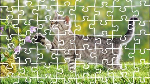 Cat Jigsaw Puzzle King screenshot 3