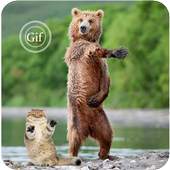 Funny Gif Images 1.0.3