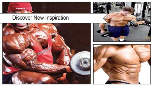 Bodybuilding Workout screenshot 2
