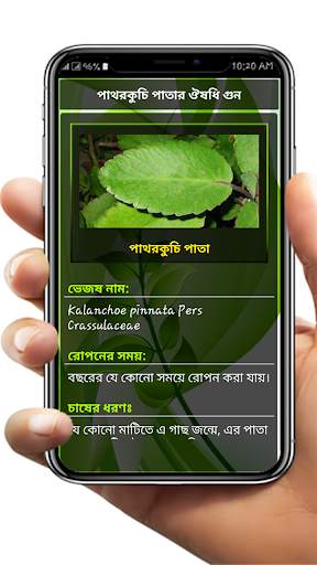 হার্বাল চিকিৎসার A to Z. Harbal medicine in bangla screenshot 8