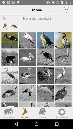 African Safariguide Lite screenshot 3