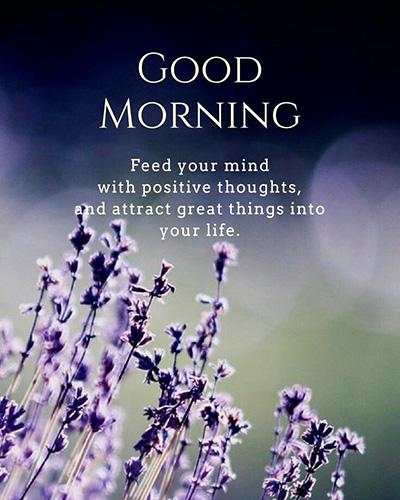 Good Morning Wishes screenshot 4