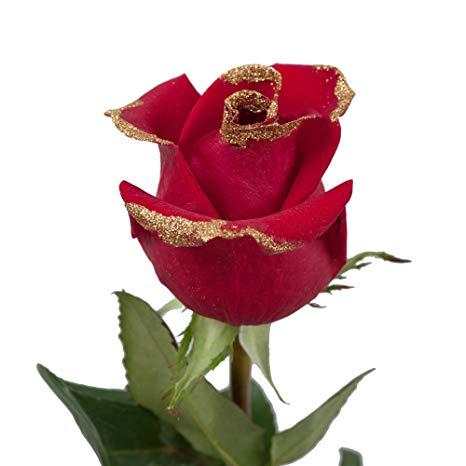 Flowers and Roses Images Gifs screenshot 1