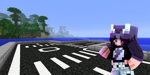 Road Mod for Minecraft screenshot 2