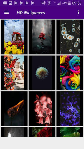 HD Wallpapers Offline screenshot 3