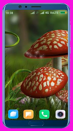 Mushroom HD Wallpaper screenshot 5