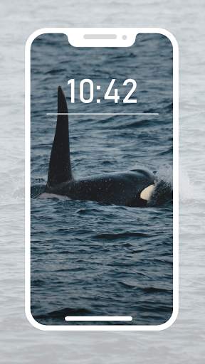 Orca Wallpapers screenshot 3