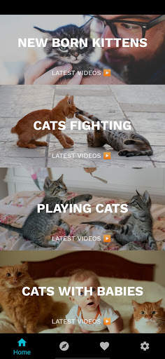 Funny Cat Videos: Funny Reactions and Cute Sounds screenshot 8