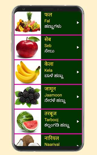 Learn Hindi from Kannada screenshot 7